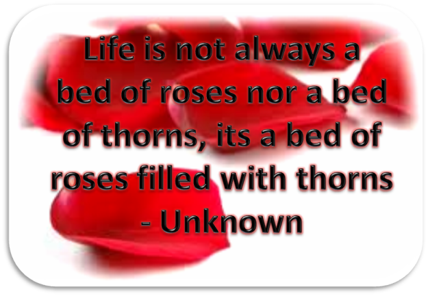 Essay on no roses without thorns